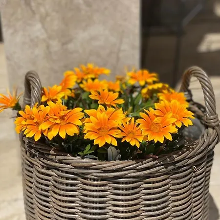 Апартаменты Maximo - Free Parking