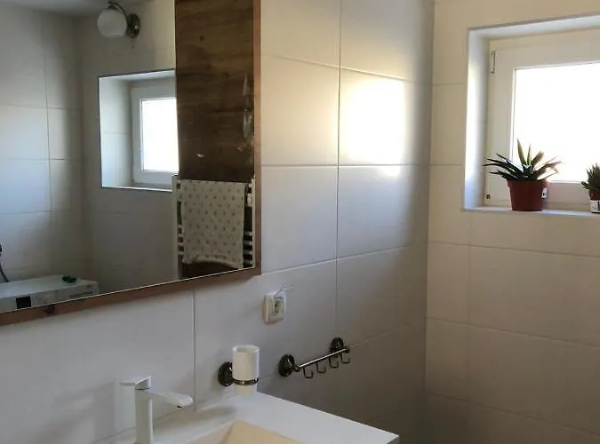 Maximo - Free Parking