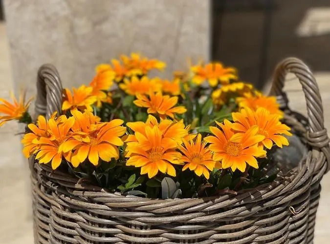 Apartment Maximo - Free Parking